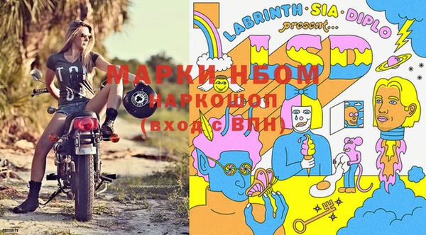 герыч Новозыбков
