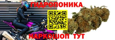молекула духа Гатчина