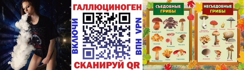 Псилоцибиновые грибы мицелий  даркнет сайт  Анапа 
