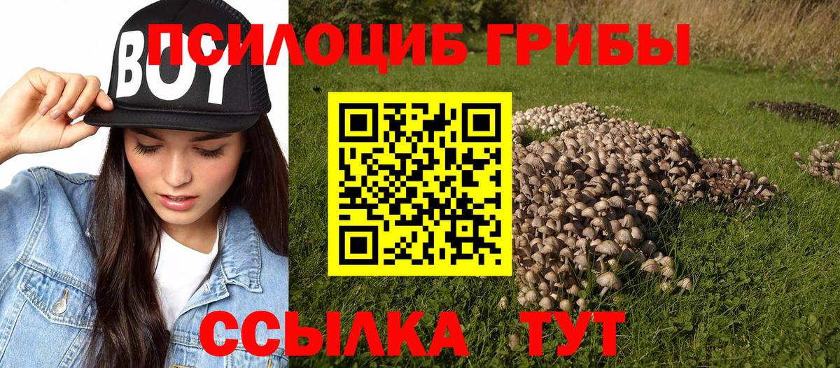 Псилоцибиновые грибы мухоморы  Галлюциногенные грибы Psilocybe  Анапа  Вход с VPN 
