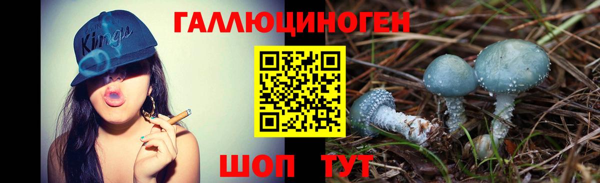Анапа  Псилоцибиновые грибы Psilocybe  Галлюциногенные грибы мухоморы  Вход с VPN 