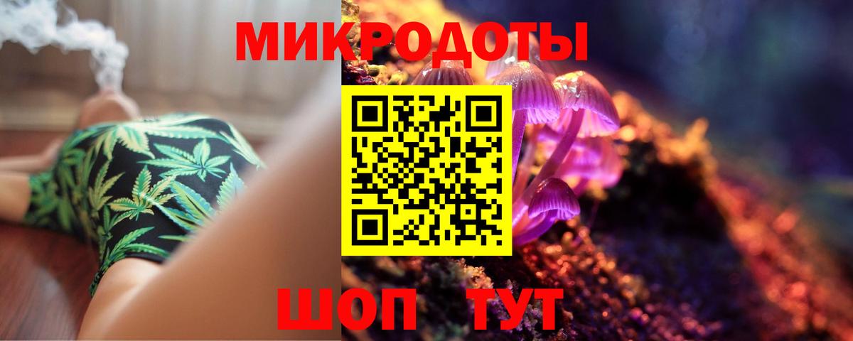 Псилоцибиновые грибы Psilocybe Анапа